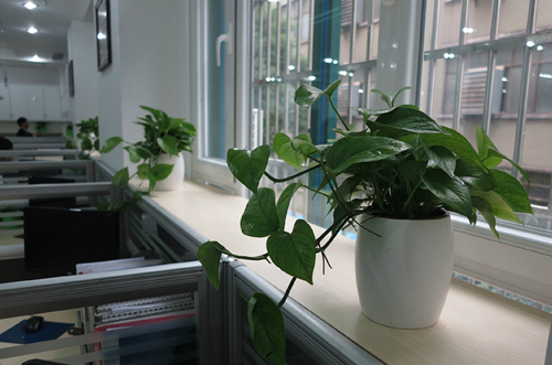 5大辦公室風水布局幫你漲工資!